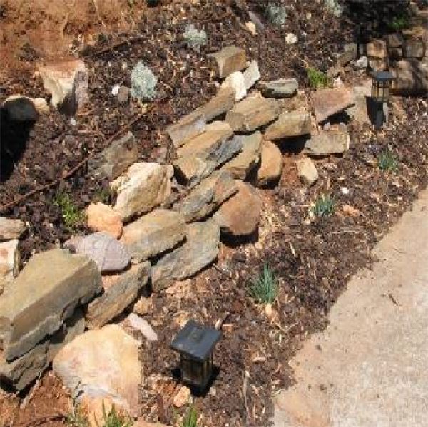Garden makeover